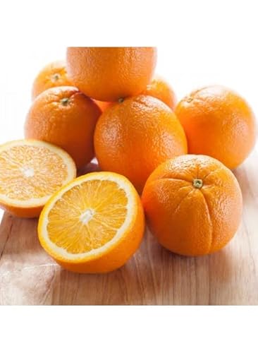 Organic Fresh Grown Navel Oranges 10Lbs #TOP2