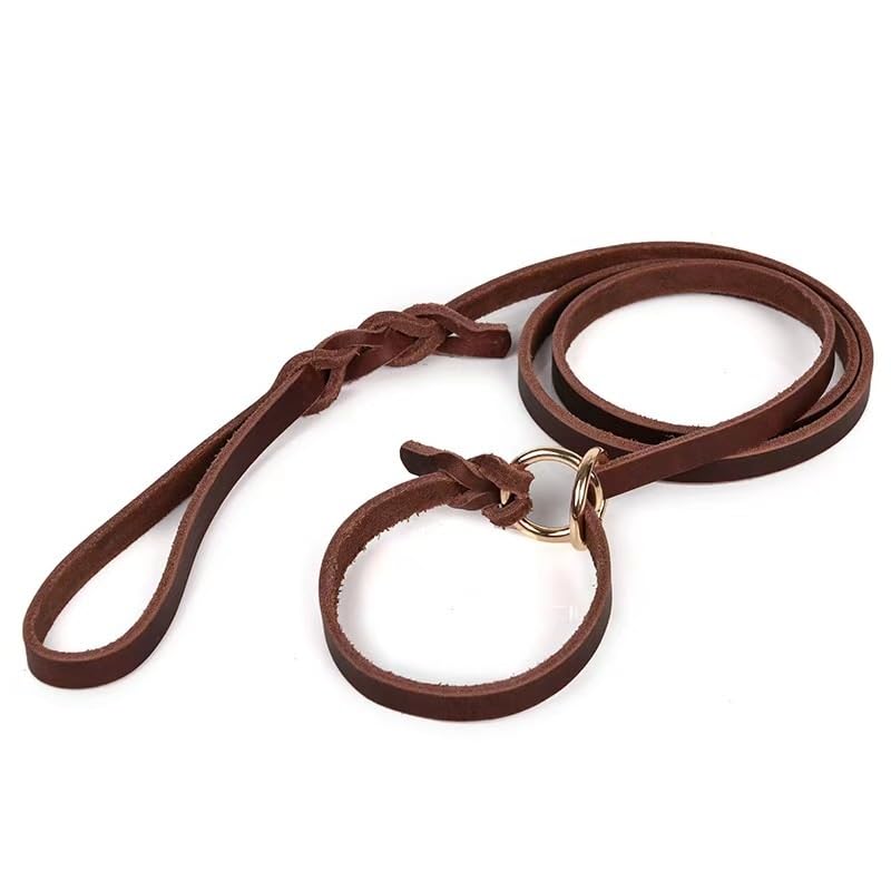 CLKLGEXEAK Echtleder-Schlupfleine for Hunde, verstellbare, genähte Haustierleinen mit Schieber, robuste...