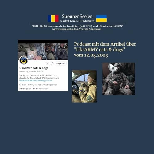 Podcast &uuml;ber "UkrARMY cats & dogs" Ukrainekrieg Tierschutz UkraineArmee Ukraine
