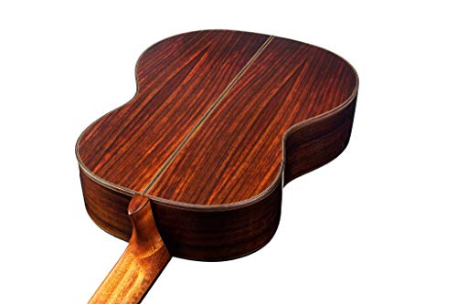 Cordoba C7 SP Nylon String Acoustic Guitar by Cordoba - Image 5