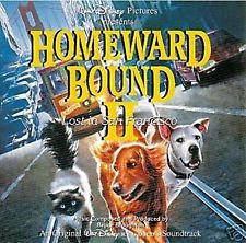 Homeward Bound II: Lost in San Francisco