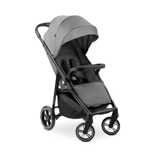 hauck Shop N Care, Grey - Kinderbuggy mit Liegefunktion ab Geburt bis 22 kg, Becherhalter und Snack Tablett, Klein Zusammenklappbar, UV Schutz 50+, XL Korb bis 3 kg