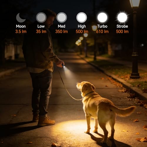 Porte-clés lampe torche rechargeable S12Plus pour la nuit
