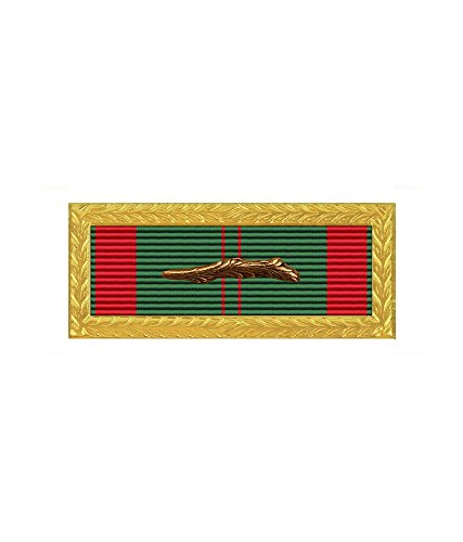 Insignia Depot Vietnam Civil Action Unit Citation With Bronze Palm