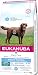 Eukanuba Adult Hundefutter für Gewichtskontrolle Large Breed Huhn 12 kg
