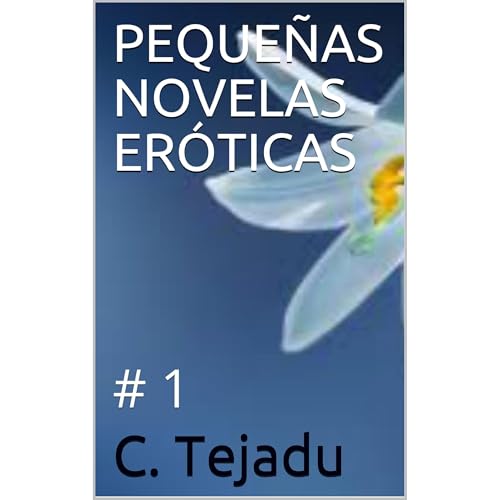PEQUE&Ntilde;AS NOVELAS ER&Oacute;TICAS Audiolibro Por C. Tejadu arte de portada