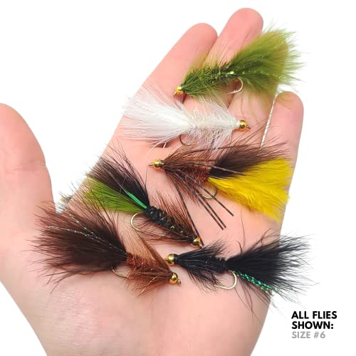 Woolly Bugger Trout Fly Fishing Streamer Sortido (pacote com 18)