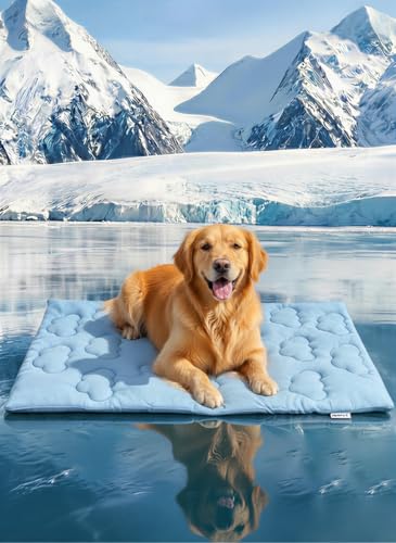 Do dogs breathe fast when hot