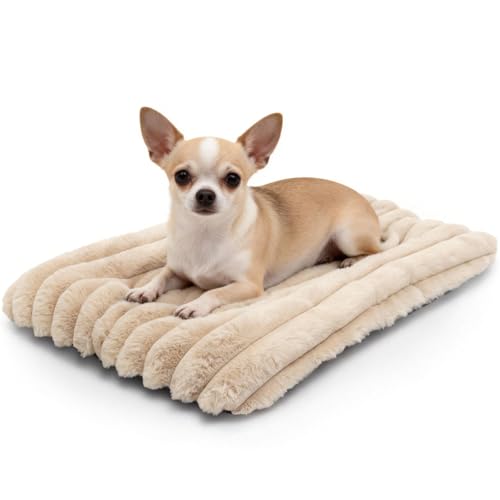 Puppy Bed for Crate or Cage 18 x 12 Inch fits Tiny Dogs, Fluffy Comfy Flat Cat Beds for Indoor Cats Washable, Extra Small Dog Bed Cat Carrier Pad Ultra Soft Kennel Mat for Pet Sleeping Cushion, Beige