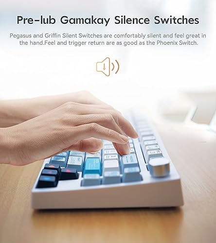 Image of GK GAMAKAY TK75 75% Hot Swap RGB Bluetooth 5.0 /2.4GHz Wireless /USB-C Wired Mechanical Keyboard with Knob Control, PBT Cherry Profile Keycaps Gaming Keyboard for Windows Mac (Gateron Red Switch)
