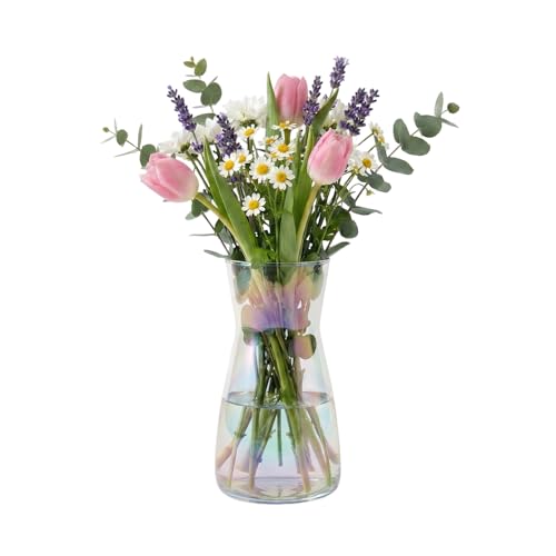 GREENSAPPIRE Clear Glass Vase 7.7"" Tall Vases Clear Glass Vase for Centerpieces Modern Colored Glass Vases Rustic Home Decor, Decorative Modern Farmhouse, Ideal Shelf, Mantle (Rainbow)