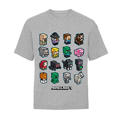 Popgear T-Shirt Camiseta, Gris, 10-11 Años para Niños