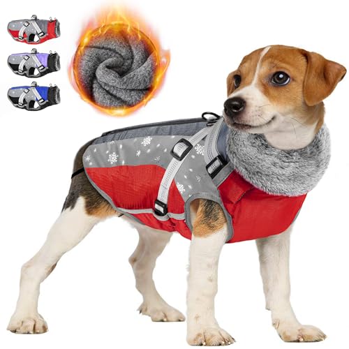 Find The Best Winter Dog Walking Coat Reviews & Comparison Katynel