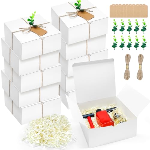 LFMKJ Gift Boxes Set 10 Bridesmaid Proposal Boxes 8 x 8 x 4 In Bridesmaid Proposal Gifts, 10 Kraft Paper Gift Tag, 10 Plastic Eucalyptus Leaves Stems and 200g Cut Paper Shred Filler