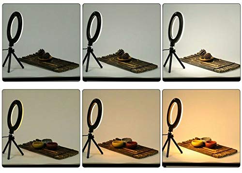 Luminária portátil USB Ring Light de 10” Vivitar c/controle remoto, tripé articulado e suportes para