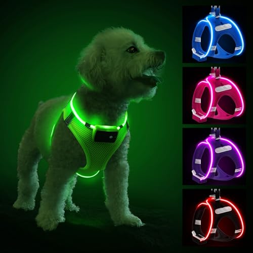 Pettorina per cani con LED ricaricabile, pettorina riflettente impermeabile che si illumina al buio, imbracatura lampeggiante per cuccioli di piccola e media taglia che camminano nella luce, verde, M