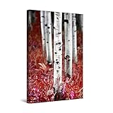 Les œuvres d'art de la Nature décrivent une personnalité romantique; Surtout, cet Forêt de Bouleau impression sur toile est un créateur de tendances dans sa catégorie avec un message puissant