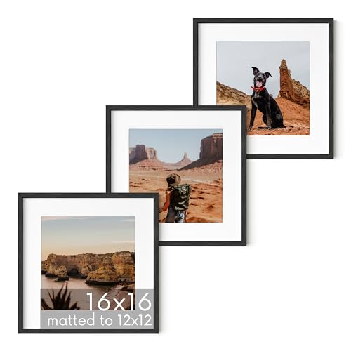 HAUS AND HUES Solid Oak Wood 16”x16” Picture Frames Matted to 12”x12” Set of 3 - Square Picture Frames 16 x 16, Black Frames for Gallery Wall 16x16, 3 Square Frames, 16 x 16 Frames (Black Frame)