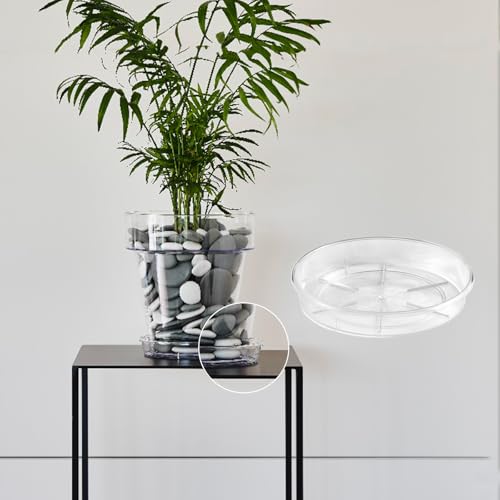 Miniatura 6 de Kalapanta Platos Transparentes Para Macetas, Set De 5 Ø 12 Cm, En Plástico Resistente, Redondos Para Interior Y Exterior