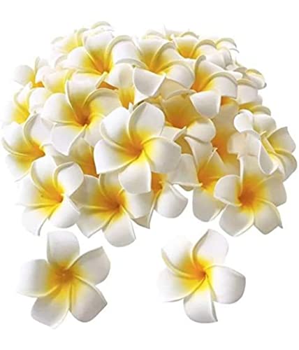 VRB Dec™ Artificial gBig Foam Hawaaii Fake Foam Water Floating Flowers for Pooja Thali, Festival and Events, Home, Table, Badroom, Pooja Room, Diwali Decoration (12, White)