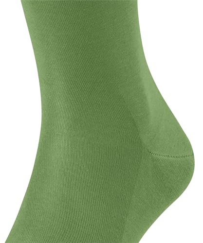 Image of FALKE Men's Tiago Cotton Knee High Dress Socks, 1 Pair