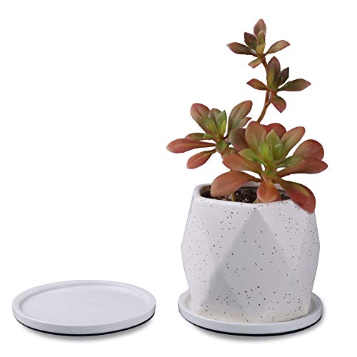 G Epgardening 4.48 Inch Round Ceramic Potted Plant Saucer Succulent Herbal Pot Planter Trays Set Round Pack Of 2 #TOP2