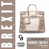  Midnight Fantasy (Remix) [feat. Proper Ganda]