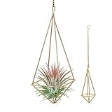 NOELAMOUR プラントハンガー アイアン エアプランツ ホルダー 吊り下げ フラワースタンド 園芸ラック 屋内屋外 全長48.5×幅8cm (ゴールド)