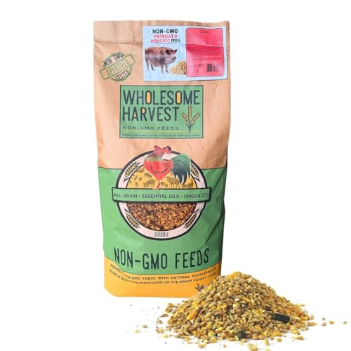Wholesome Harvest All-Grain Non-GMO Potbelly & Mini Pig Feed - 12% Protein for Mature Pigs - Fortified with Vitamins A D E Minerals and Kelp - 40 lb Bag