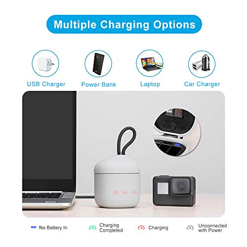 image for TELESIN 2-Pack Replacement Batteries and Allin Box Charger with High S