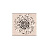 Hero Arts K6288 Wood Stamps, Hero Florals Sunflower