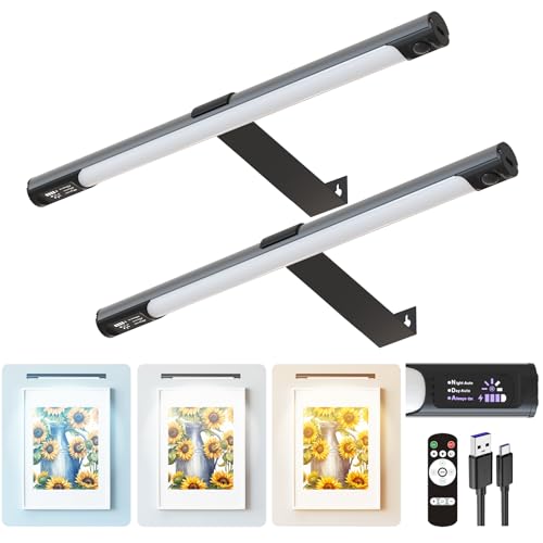 Wireless Picture Lights for Wall 2 Pack, Remote Control, 3 Color Dimming and Timer, 14in Rechargeable Art Display Light with Digital Display, Portrait Lights for Painting Frame Dartboard Gol