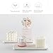 NiuYichee 2 Pcs Water Absorbing Stone Trays, Kitchen/Bathroom Sink Soap Dish, Diatomite Tray Used for Hand Soap & Cosmetic Bottles in The Modern Home, 3.15