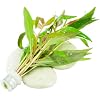 Product Photo 9