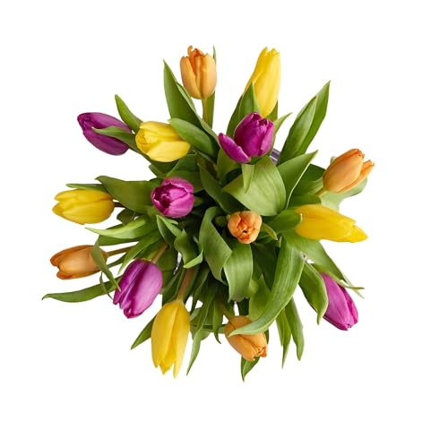 1800 Flowers – 15 Stem Assorted Tulip Bouquet (Bouquet Only)
