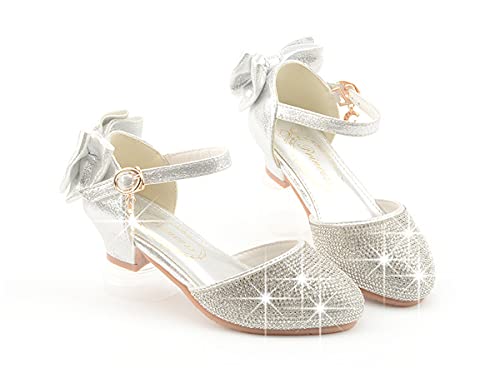 Toddler/Little/Big Girls Dress Shoes Mary Jane Flower Girl Low Heels Shoes for Wedding Party 55013