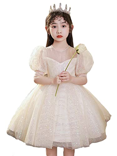 Princess Girls Pageant Tutu Fluffy Dress Bling Sequin Puff Short Sleeve Flower Girl Ball Gown