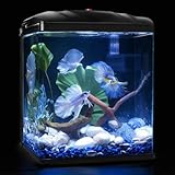 Small Fish Tank, 2 Gallon Glass Aquarium, Betta Fish Shrimp Goldfish Tropical Fish Starter Kit Self Cleaning with Filter & LED Plant Light, Ultra-Quiet Kids Room Decoration Fish Tank