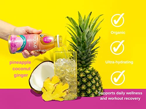 Recoup Organic Hydration Beverage With Electrolytes And Ginger - Pineapple + Coconut + Ginger - Plant-Based Sports Recovery Drink, No Sugar Added, Non-Gmo -12 Fl Oz (Pack Of 12) #TOP1