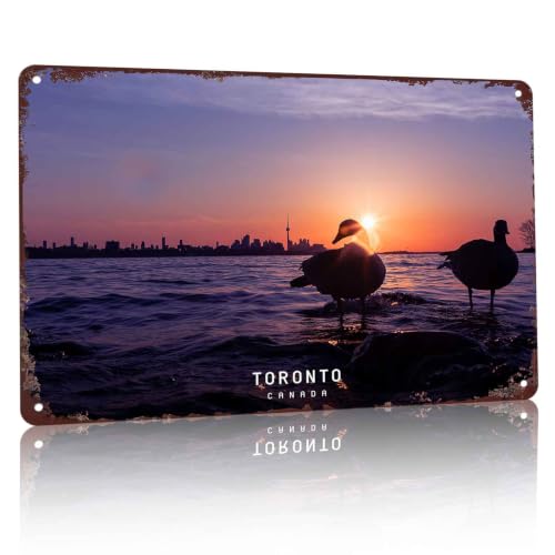 Toronto Canada Sunset Geese Metal Wall Sign 8x12