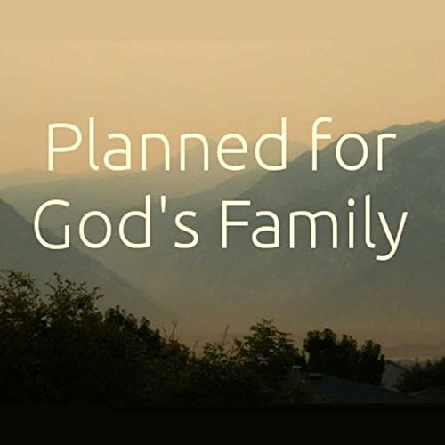 Planned for God's Family session 3 - Vision