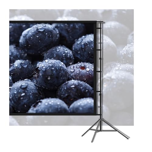 Pantalla de proyector portátil plegable 100 pulgadas miniatura 5