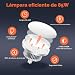 Imagen de Softbox LED 85W con Control Remoto Ajustable 2700-6400K y Trípode 150cm