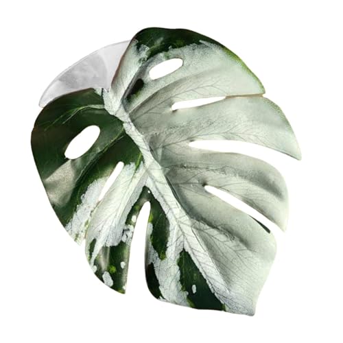 Genérico Plantas de Araña Saltarina - Decoración Realista En Forma De Hoja con - Decoración para el Hogar de Araña Saltarina | para Invernadero Terrario Serpientes Mascota Interior Corral para Aves
