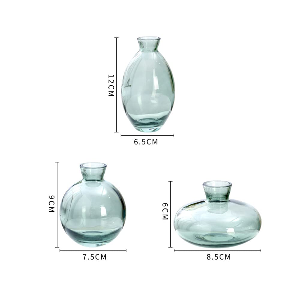Hniuyun 3Pcs/Set Glass Vase, Small Mini Flowers Bud Vases, Transparent Hydroponic Vase Minimalist Aesthetic Home Decor (Green) - Image 2