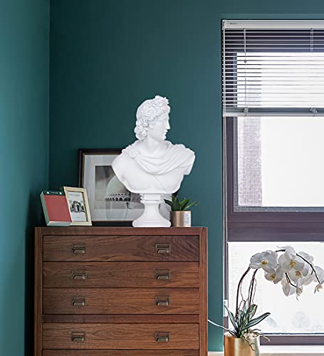 Beonueni 14 Inch Pythian Apollo Bust Statue Gypsum Statue Replica Sculpture Figurine Home Decor Resin Crafts For Sketch Practice Artist (David White) #TOP1