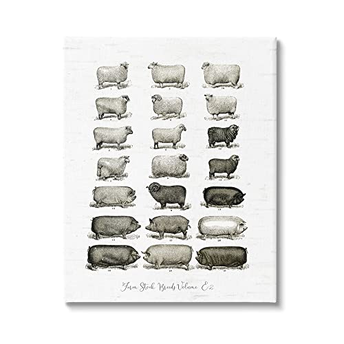 Stupell Industries Farm Animal Breeds Pigs Sheep Diagram Chart, Design by Lettered and Lined