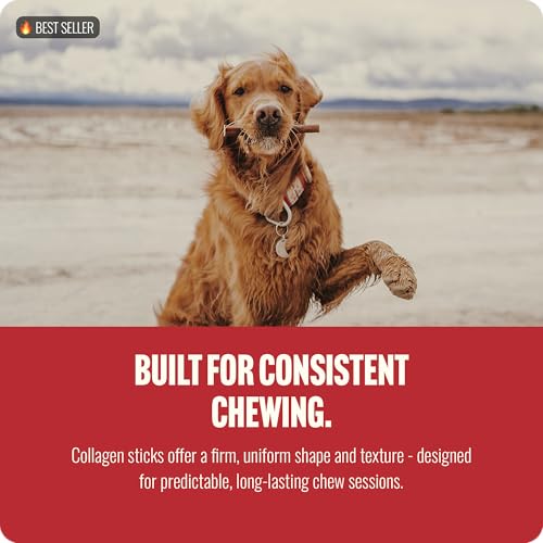 Natural Farm Peanut Butter Flavor Collagen Sticks for Dogs (12 Inch, 5 Pack), Long-Lasting Beef Collagen Sticks, Rawhide Alternative Chews with Chondroitin & Glucosamine, Low-Fat Dental Treats — view 5
