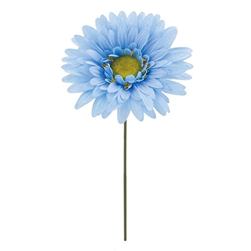 �K�[�x���s�b�N �u���[ FLP6020BL �K�[�x�� �K�[�x���s�b�N ���� �s�b�N �A�[�g�t�����[ �A�����W