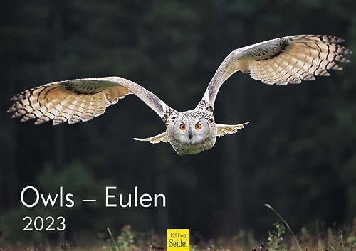 Edition Seidel Premium Kalender Kühe 2024 Format DIN A3 Wandkalender Kuhkalender Weltweit Kuh